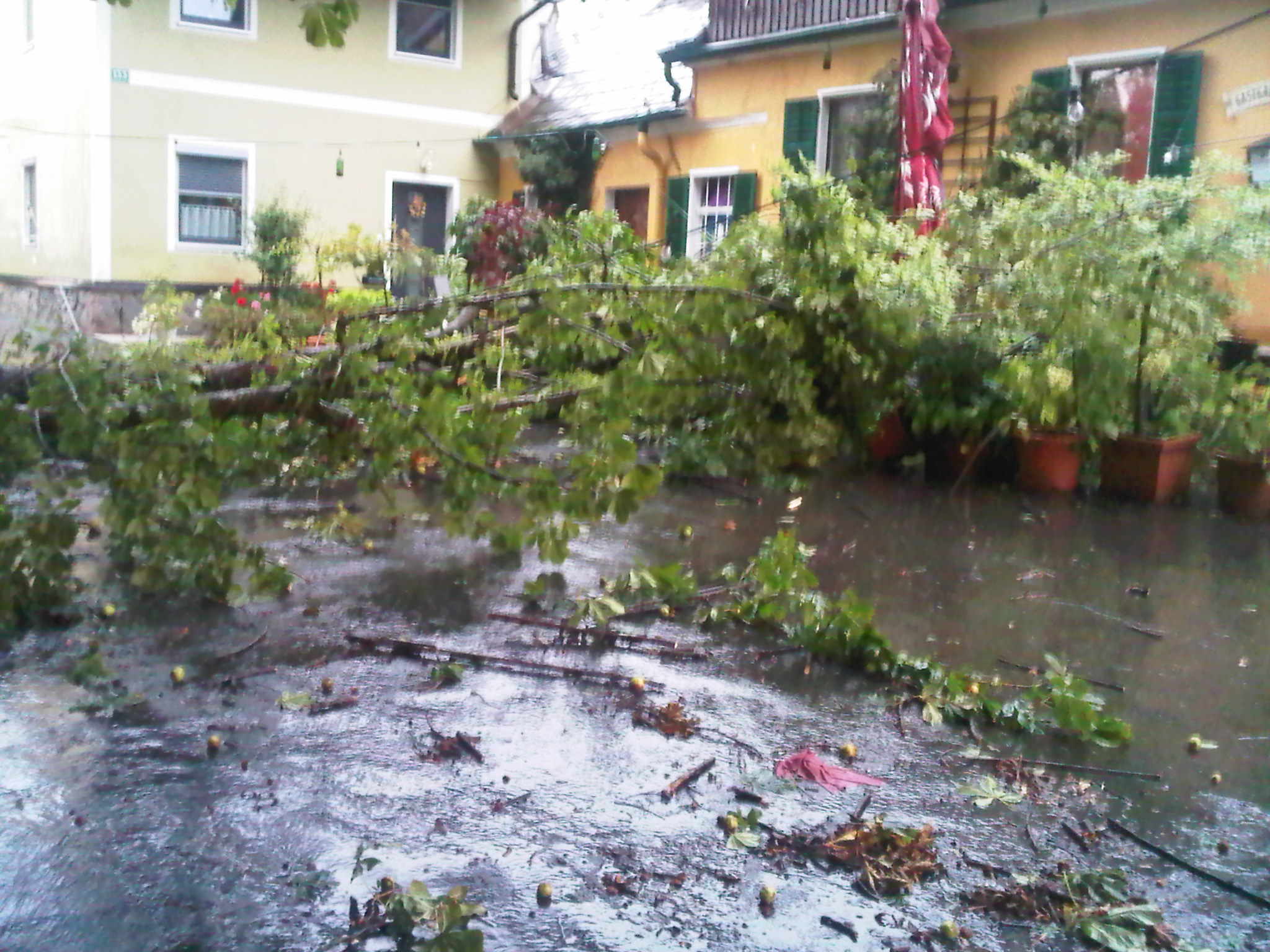 img00307-20110819-1542.jpg - 269.68 KB